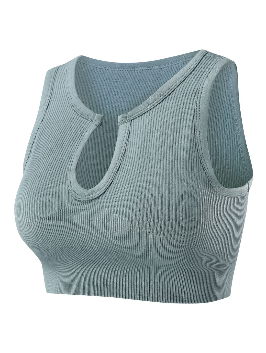 CurveLift Sculpt Crop Top - E - moda